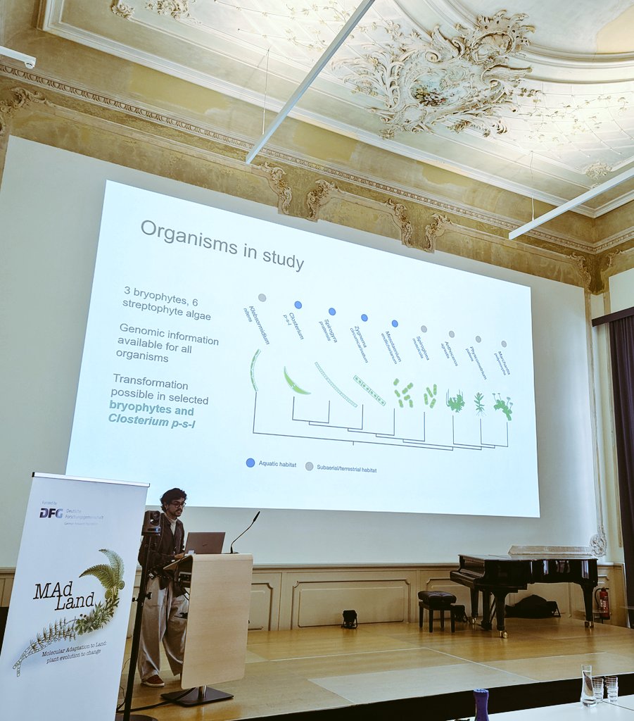 MadLand (@watertoland) on Twitter photo Next up is <a href="/gabexico/">Gabriel X. García-Ramírez</a> from the <a href="/Grandpa_Hiro/">Hiro Nakagami 中神 弘史</a> lab in Cologne at <a href="/mpipz_cologne/">MPIPZ Cologne</a>, discussing Salicylic Acid perception and response in bryophytes and streptophyte algae #MAdLand2024 Next up is <a href="/gabexico/">Gabriel X. García-Ramírez</a> from the <a href="/Grandpa_Hiro/">Hiro Nakagami 中神 弘史</a> lab in Cologne at <a href="/mpipz_cologne/">MPIPZ Cologne</a>, discussing Salicylic Acid perception and response in bryophytes and streptophyte algae #MAdLand2024