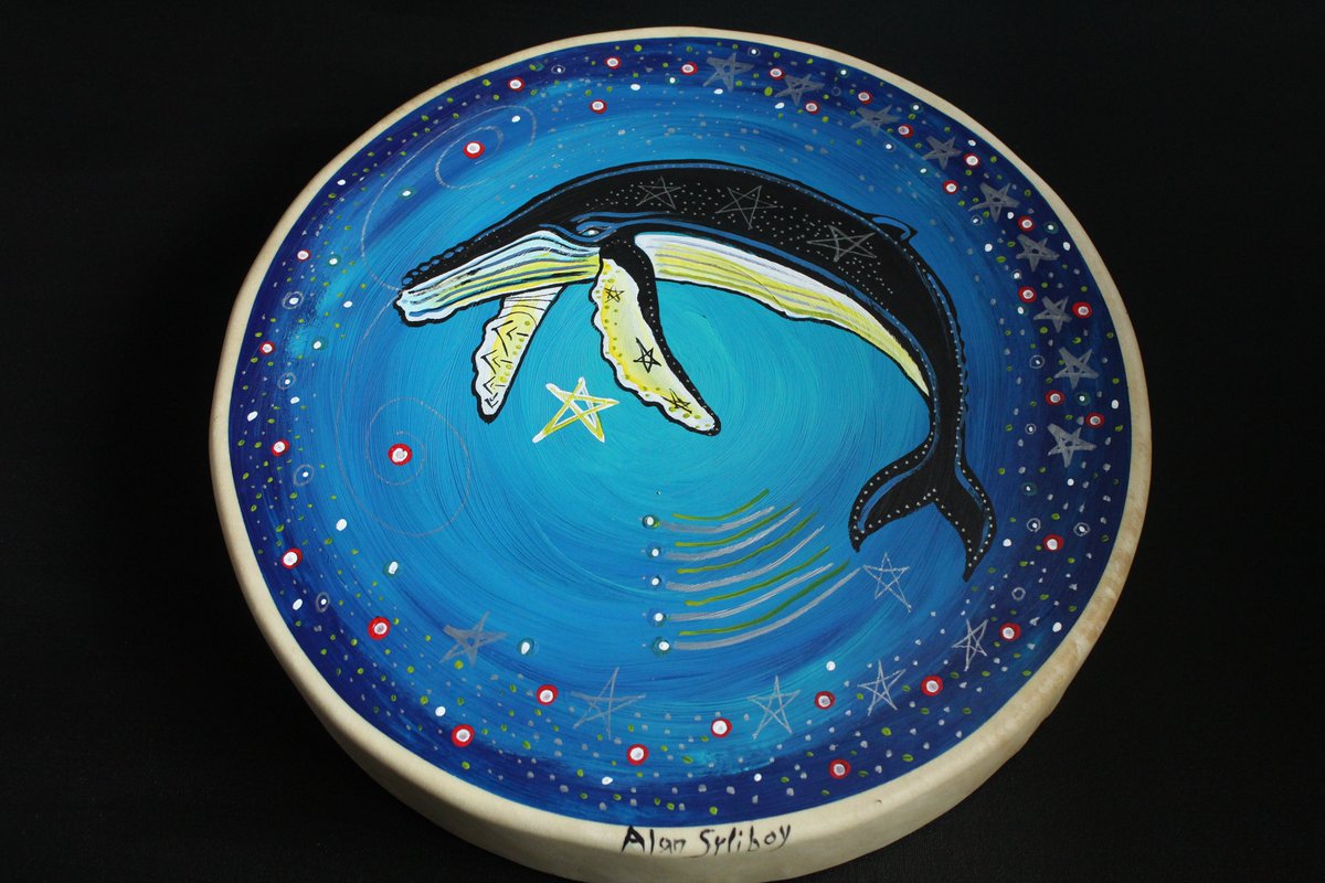 The Daily Drum
Today I am featuring a Humpback Whale