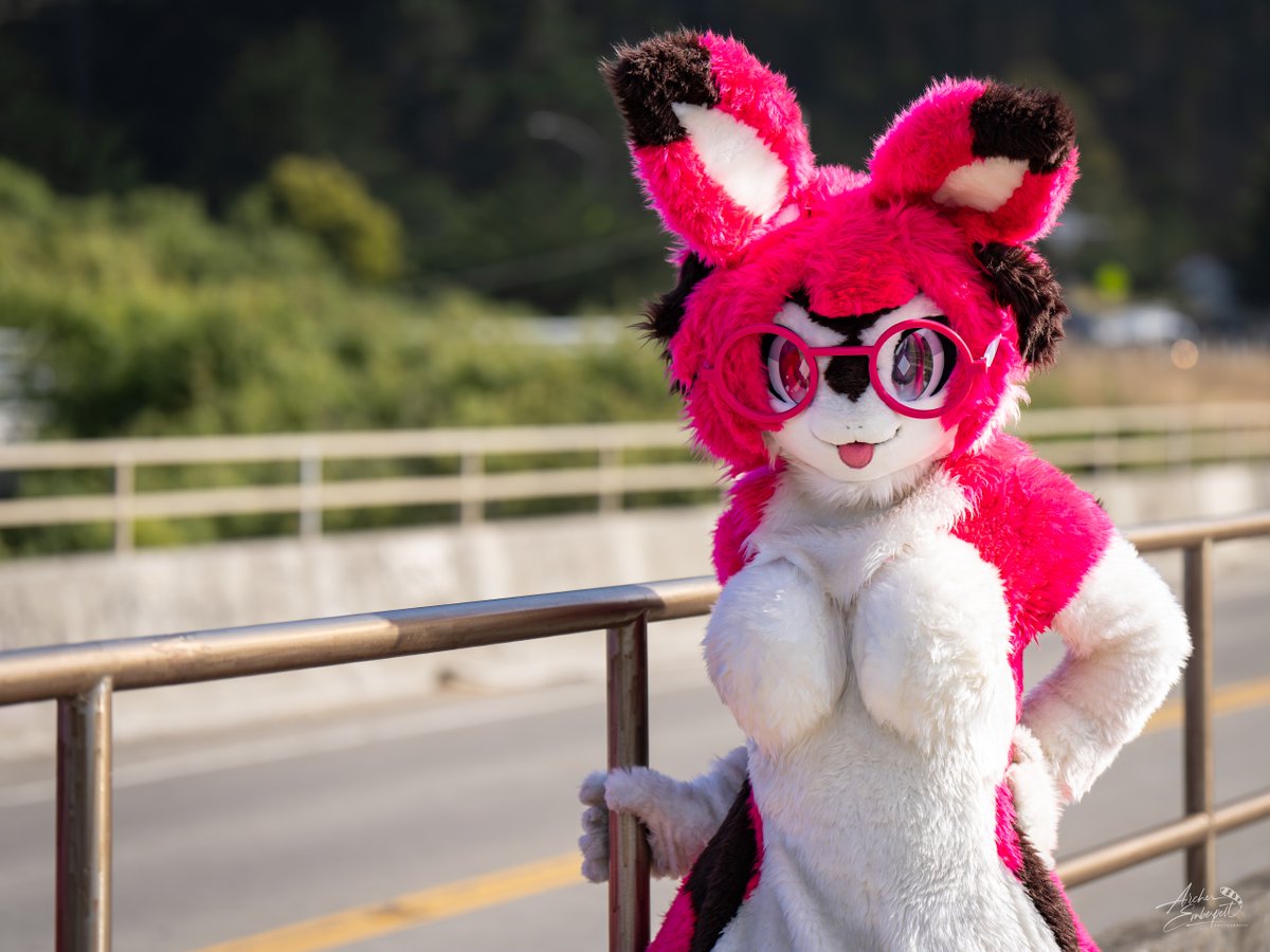 what's up?? 🐰 📸: <a href="/ArcherEmberpelt/">Archer @ FC</a> #FursuitFriday