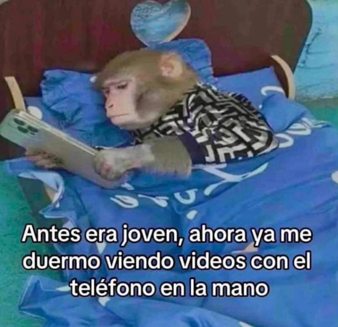 En Júpiter (@en_jupiter_) on Twitter photo 