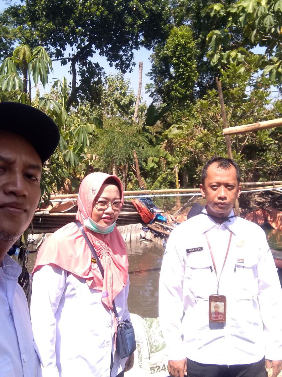 AsthokJ's tweet photo. Kamis,26-09-2024,Kunjungan produksi Ikan Lele Pokdakan Rahayu Lele,jumlah produksi 200 Kg/Bulan dengan harga jual Rp.20.000/Kg
@bppsdm_kp @bppsdm_puslatkp @PKBLU_bp3tegal https://t.co/r4LDbyvrEr