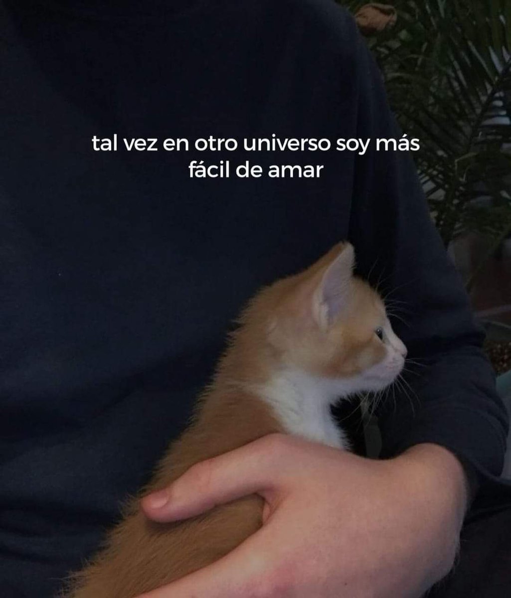 En Júpiter (@en_jupiter_) on Twitter photo 