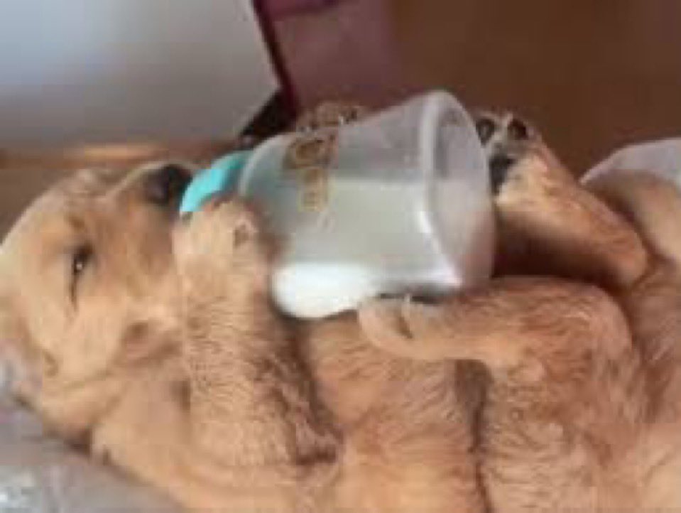 BY30LS's tweet image. am i about to come out of hibernation