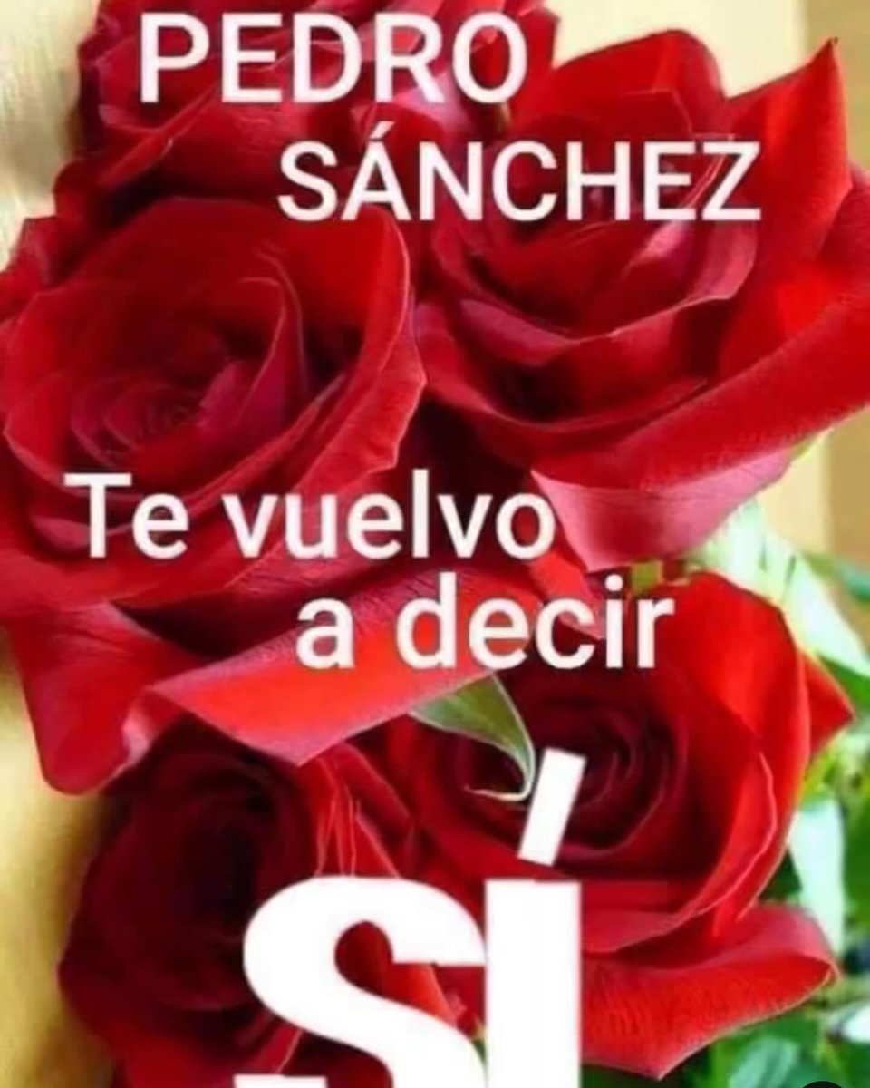 piedicasero's tweet photo. Y tú? https://t.co/GOv05dFmrg