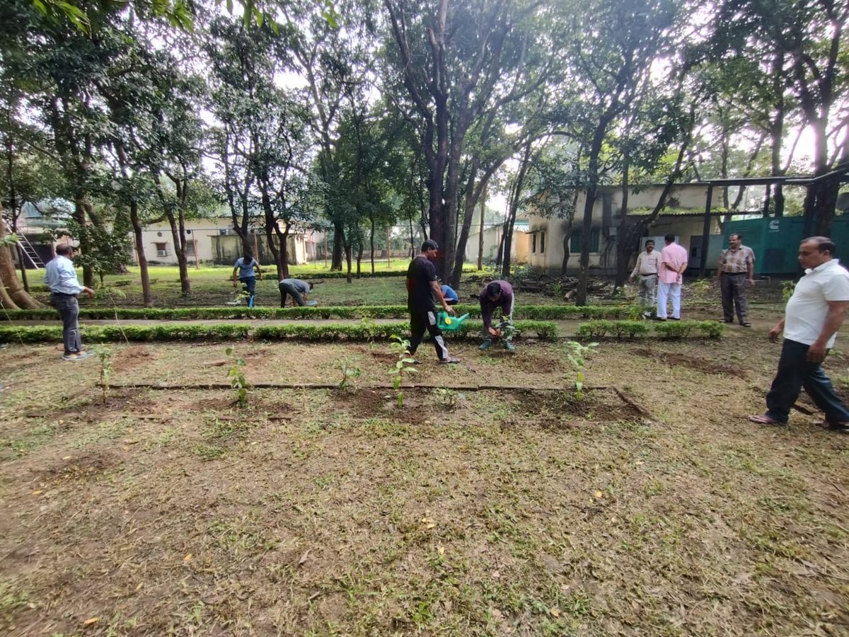 iol_pro's tweet photo. The #SBD2024 celebrated in IOL by plantation under the #EkPedMaaKeNaam &amp; a cleanliness drive with a commitment of contributing more towards a #CleanIndia and #greenIndia.
#SHS2024 #SwachhBharatMission   #SwachhtaHiSewa2024  
@DefenceMinIndia @SpokespersonMoD @DefProdnIndia https://t.co/01m5sTAteQ