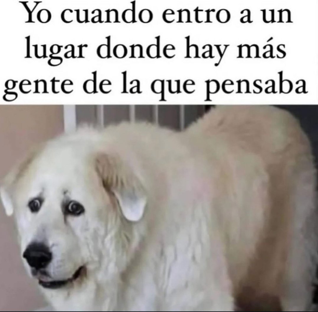 Ana_LaPatata tweet media