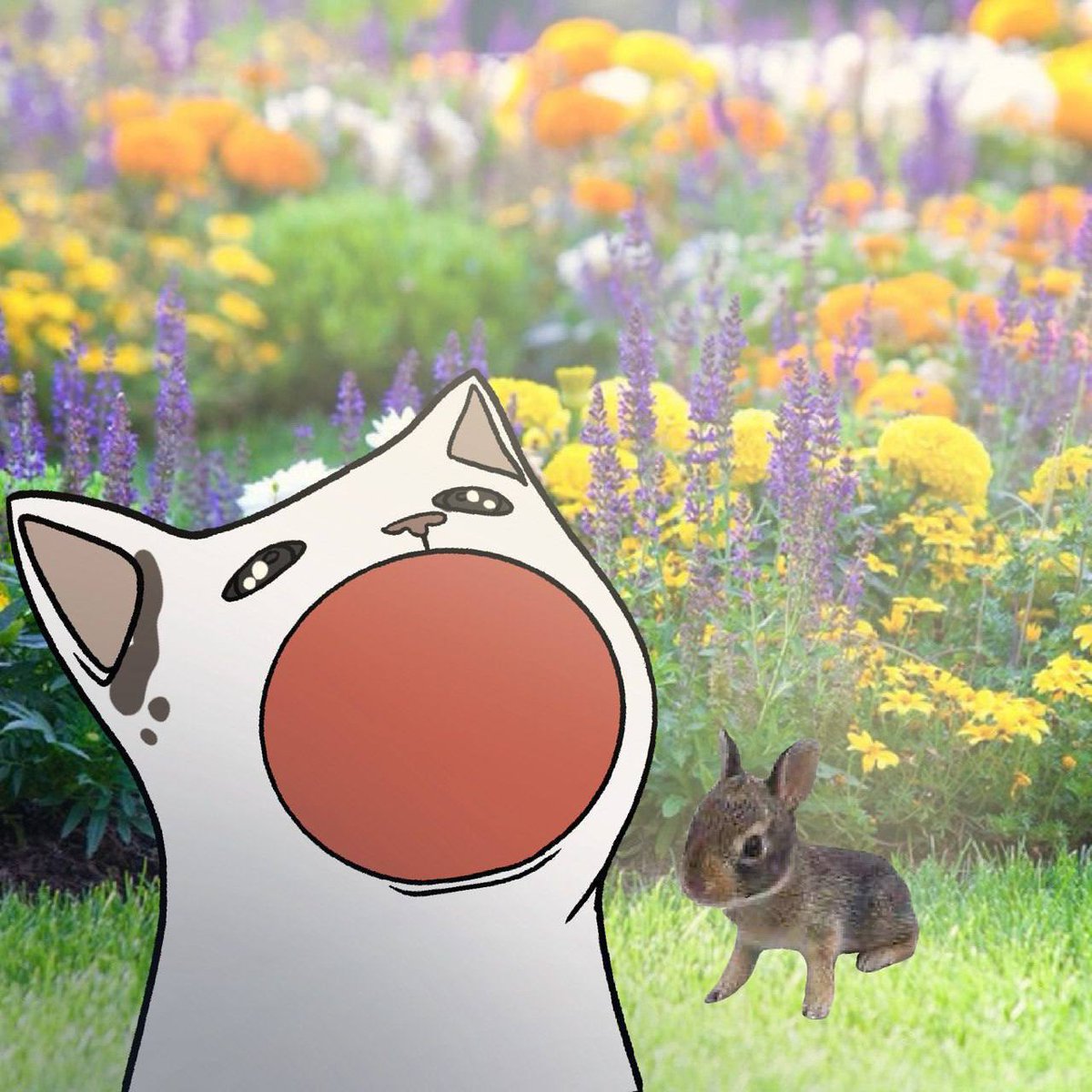 smallbunnysol's tweet photo. Congratulations for recently hitting 1B $POPCAT ❤️ @POPCATSOLANA 

We will join you soon 🐰 $wsb https://t.co/R18FmnX2Lg
