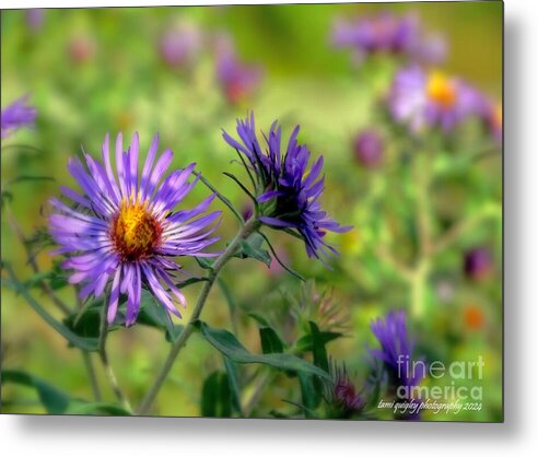 tamitrailscapes's tweet photo. If Only Summer Could Stay https://t.co/zZFjr7Lfa4 #ThePhotoHour #ArtistOnTwitter #BuyIntoArt #AYearForArt #BlueAster #wildflower #SUMMER2024 #floralart #art for #giftidea #wallart #homedecor! #lehighvalleyphotographer @visitPA #LehighValley @LehighValleyPA @DLNHC #Slatington https://t.co/GT8QyCsq6o