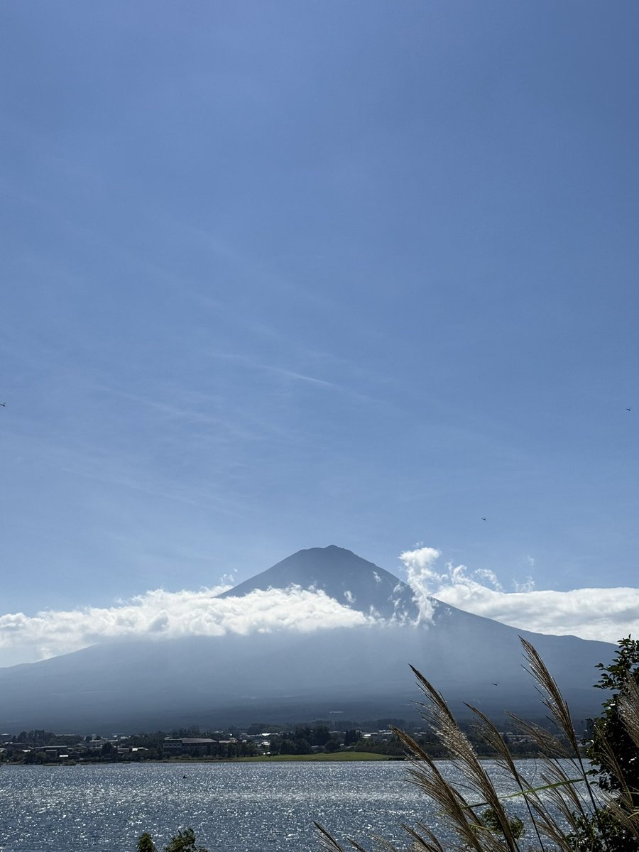 A bit different from the snowy-postcardy look we are used to see it… but damn! How cool is Mt. Fuji?

#Japan #Fuji #Fujisan #MtFuji