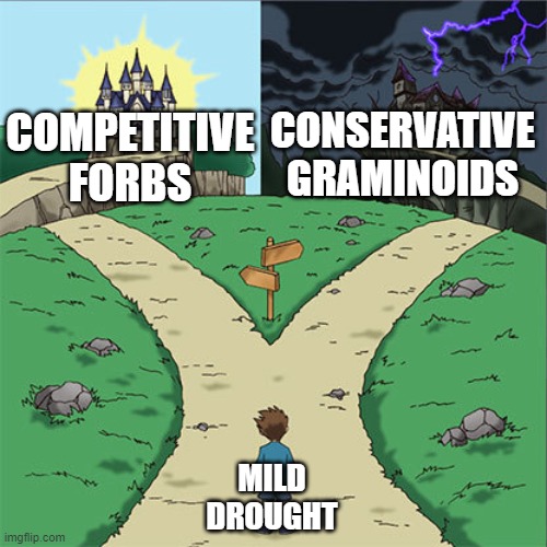 📃New preprint. We found differences in morpho-physiological drought response among forest understory forbs and graminoids. Also minimum leaf conductance (gmin) is an important trait for biomass accumulation under drought.🍀
 doi.org/10.1101/2024.1…
#ecophys #forestecology