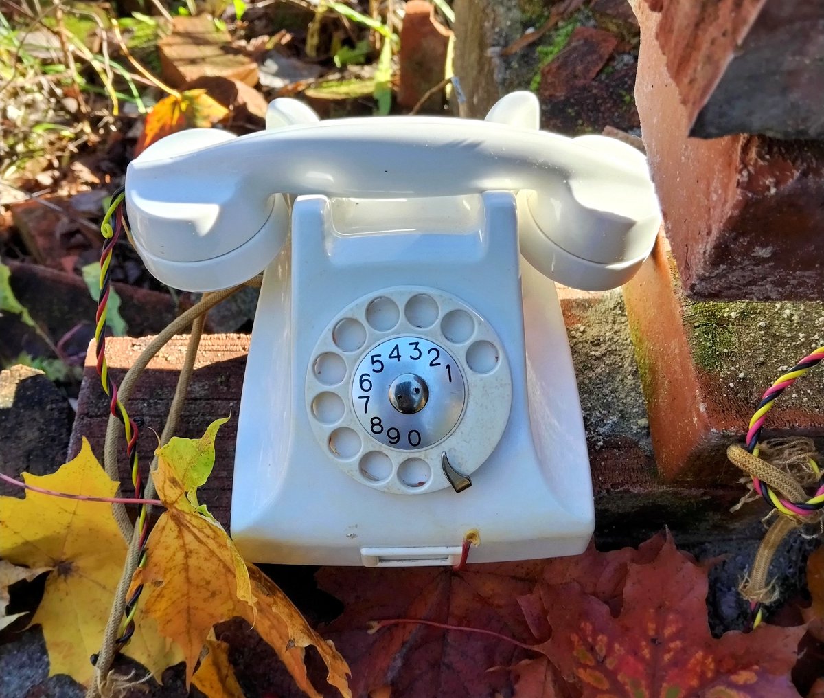 Maanhalla's tweet photo. @sommpio "Puhelinnumero kaiken alkupisteeseen, jossa joku yksisoluinen vääntäisi ohjeet rautalangasta." Mainio ajatus. Oispa. Soittaisin heti rautalangan vääntäjälle😁 Puhelin mulla jo on. https://t.co/6YAVASzogt