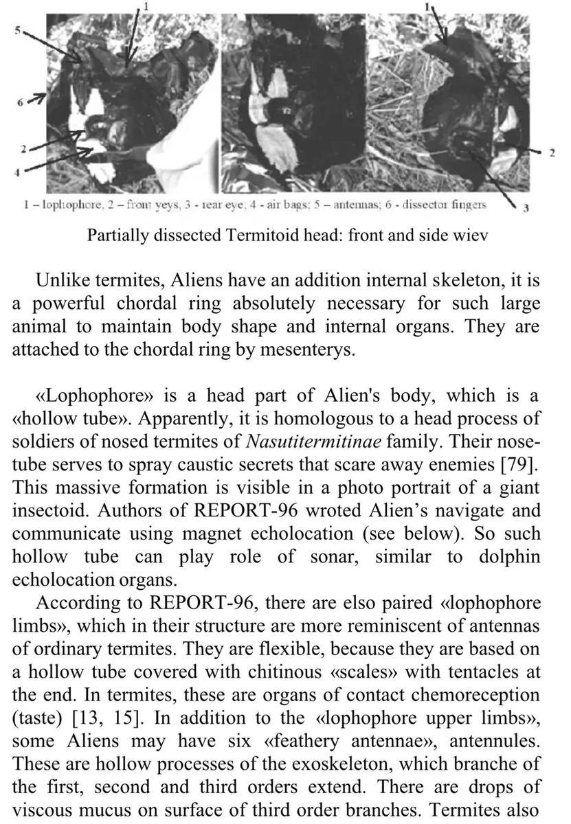 wavetossed's tweet photo. @UfoBloke They should compare this to the #Insectoids that the #Soviets dissected. Also compare the mummy to #Termite structure since the Soviet scientists determined their insectoid was most closely related to 200 million year ago termites. https://t.co/e15MmO9JMf