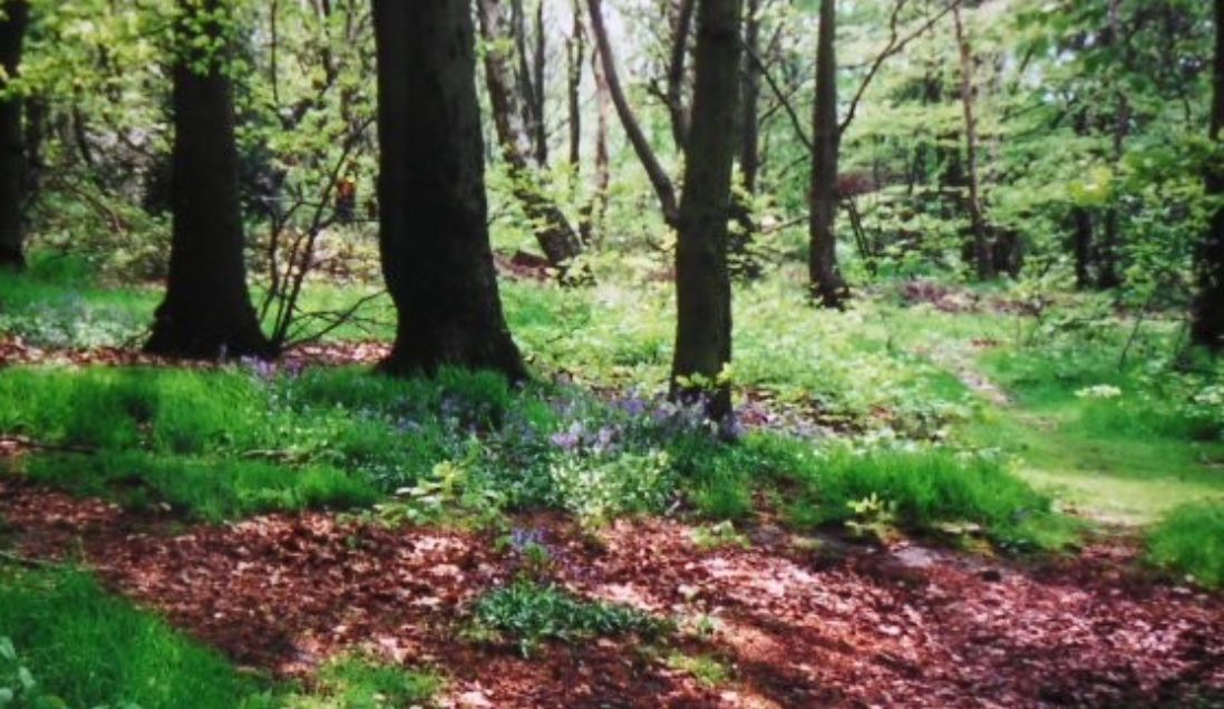 Patrick Murphy tweet media