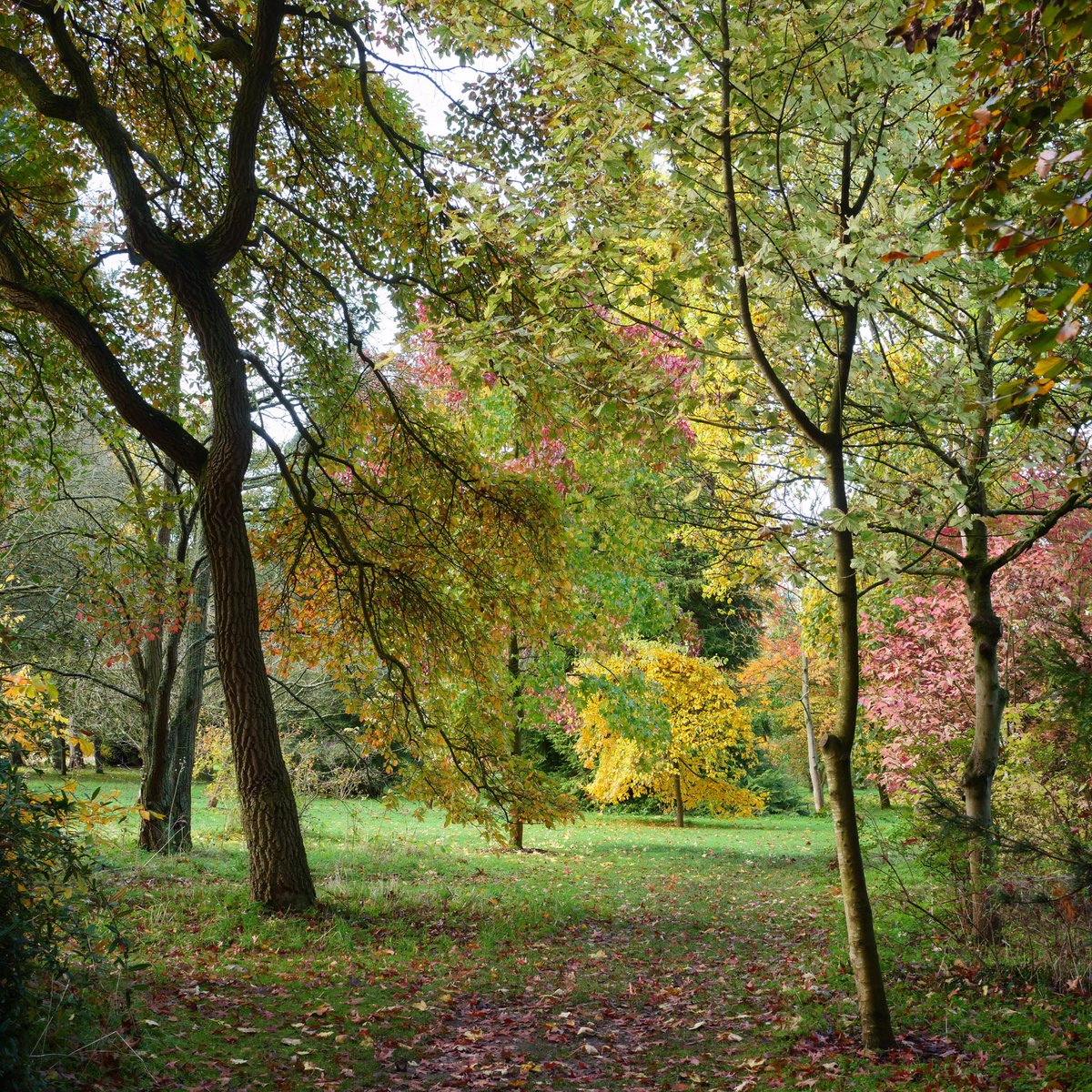 Spetchley Park tweet media