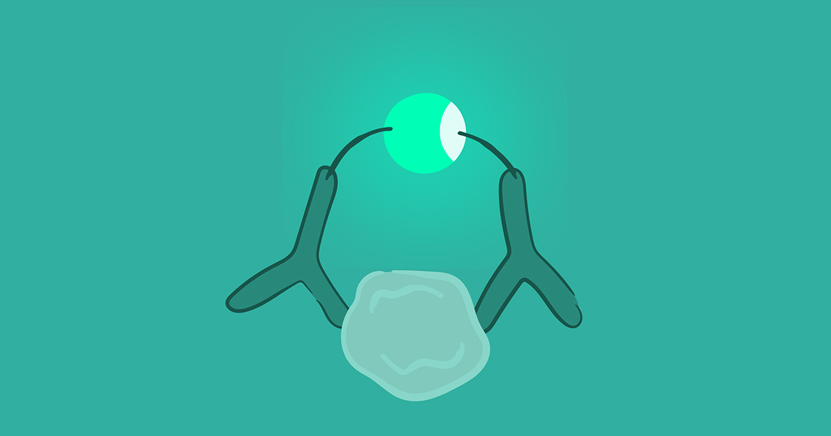 🔬 Jeunes chercheurs, les tests immunologiques sont essentiels pour vos recherches biomédicales ! Découvrez comment ils peuvent booster vos travaux. ➡️ En savoir plus : bit.ly/4eJPBlH
#Recherche #Immunologie