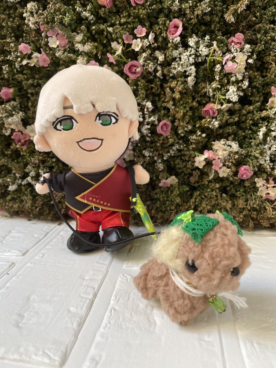 mooo______0's tweet photo. カワイイ https://t.co/63kBh9fVN3
