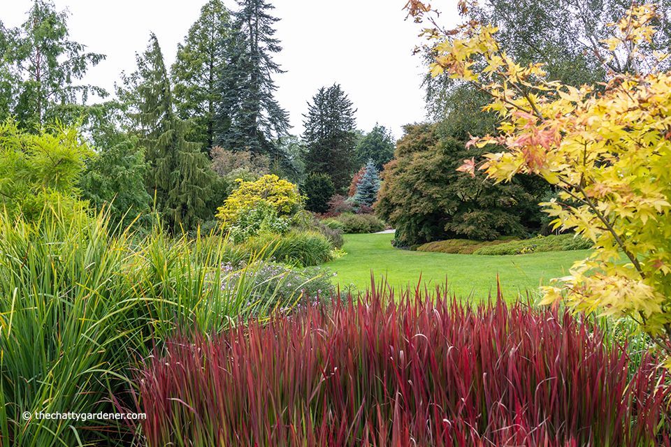 New blog: a trip to RHS Harlow Carr. Read about it here: buff.ly/4dsw5JI 

#gardening <a href="/The_RHS/">The RHS</a> <a href="/RHSHarlowCarr/">RHS Harlow Carr</a>