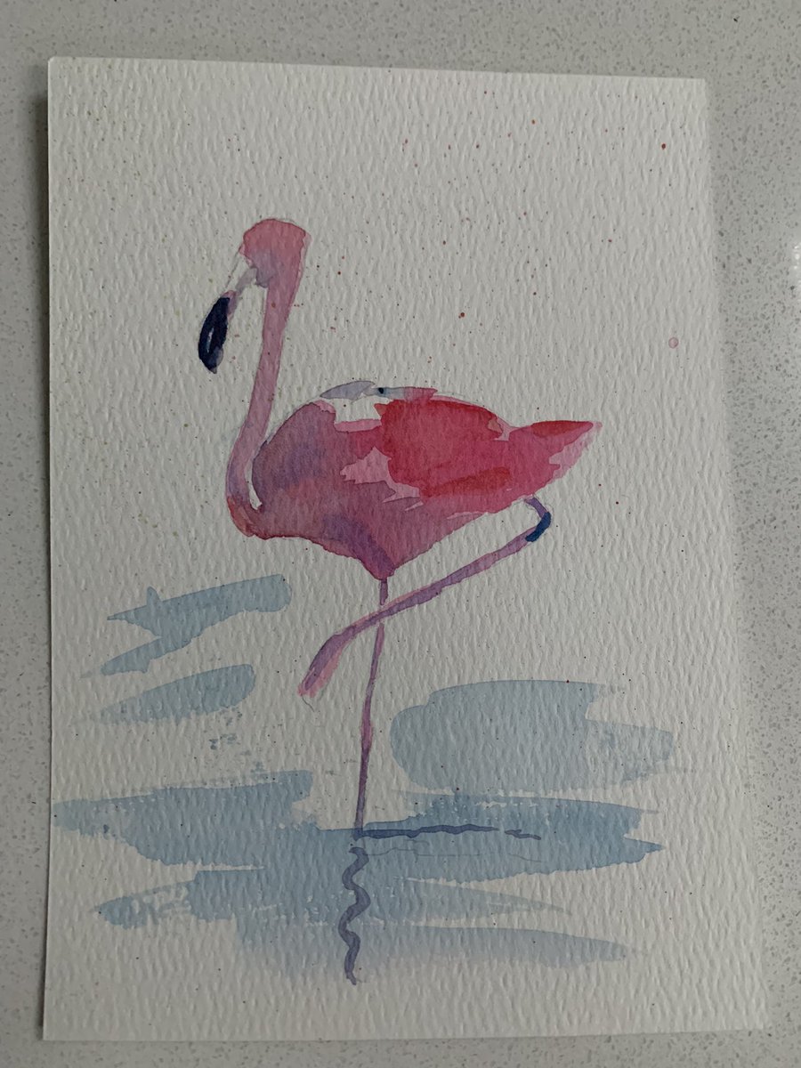 maley40's tweet photo. @janetbutlermale 😂love a flamingo! https://t.co/zI8fzO8xqb