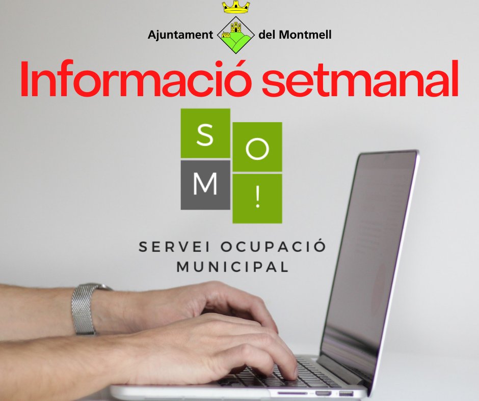 OCUPACIÓ | SOM
Informació setmanal actualitzada de les ofertes de treball i cursos de formació que podreu trobar a la secció del SOM a: elmontmellonline.cat/borsa-de-treba…