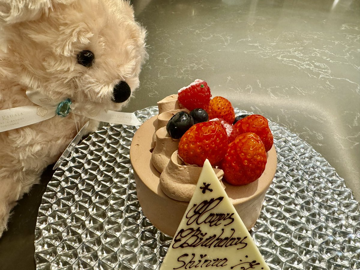 oikawashinta's tweet photo. ハッピーバースデーでした🎁 https://t.co/eORdcYIzzF