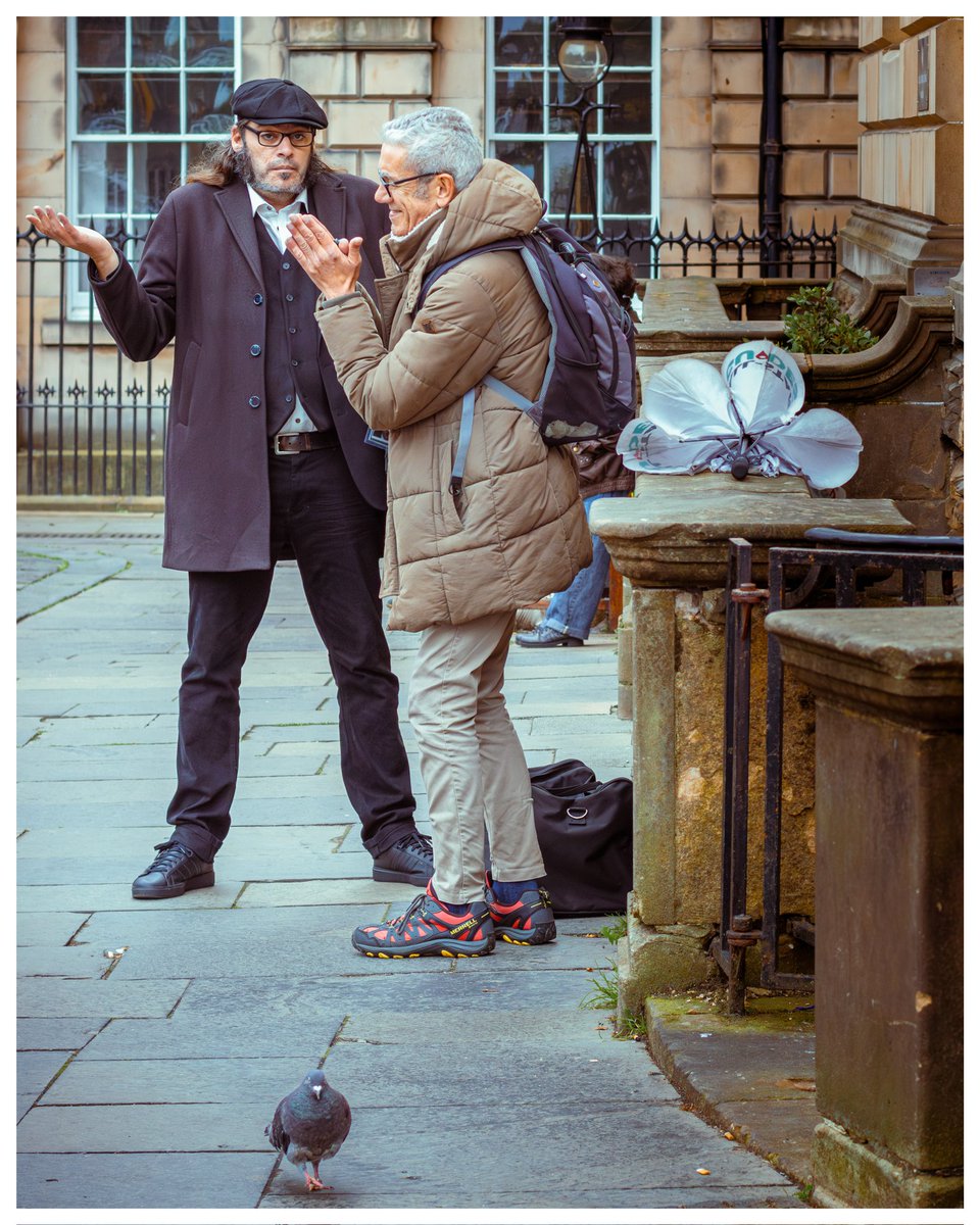 TrueNorthCaptures tweet media