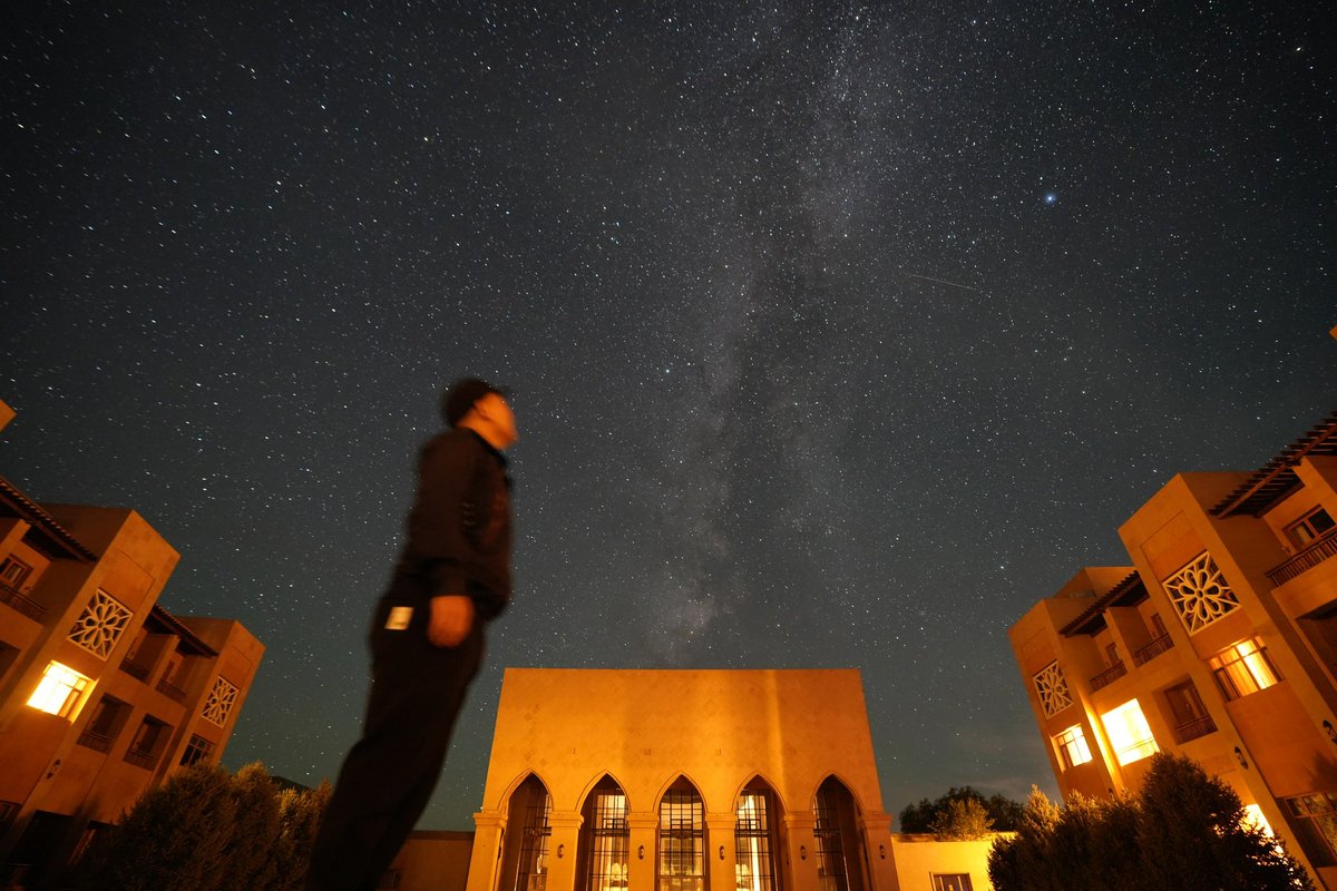 Soolby's tweet image. 亲眼看到蚂蚁森林8年前，自己种下的那棵树，还是很激动的。