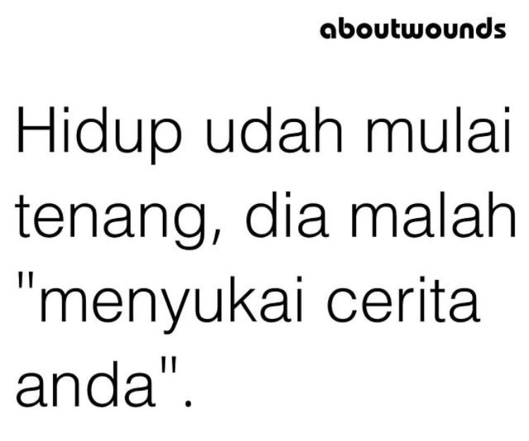 Laaa tweet media