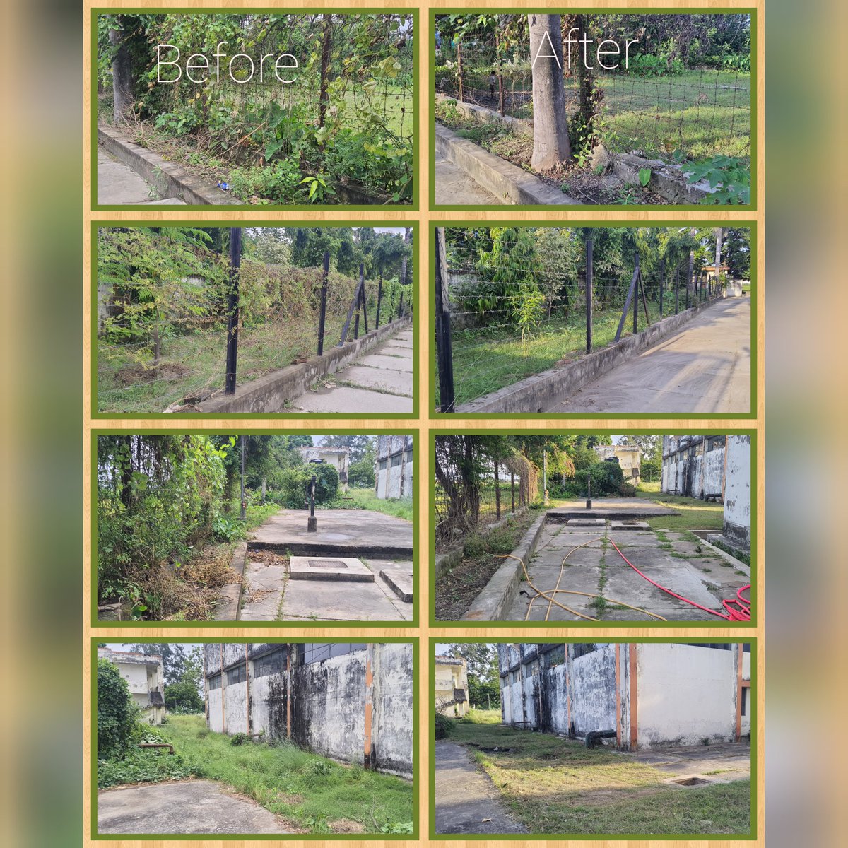cipmcgkp's tweet photo. Before and after images of office premises at CIPMC, Gorakhpur during swachhta hi seva campaign 2024 
#SBD2024
#SHS2024 https://t.co/ze8SSIWT28