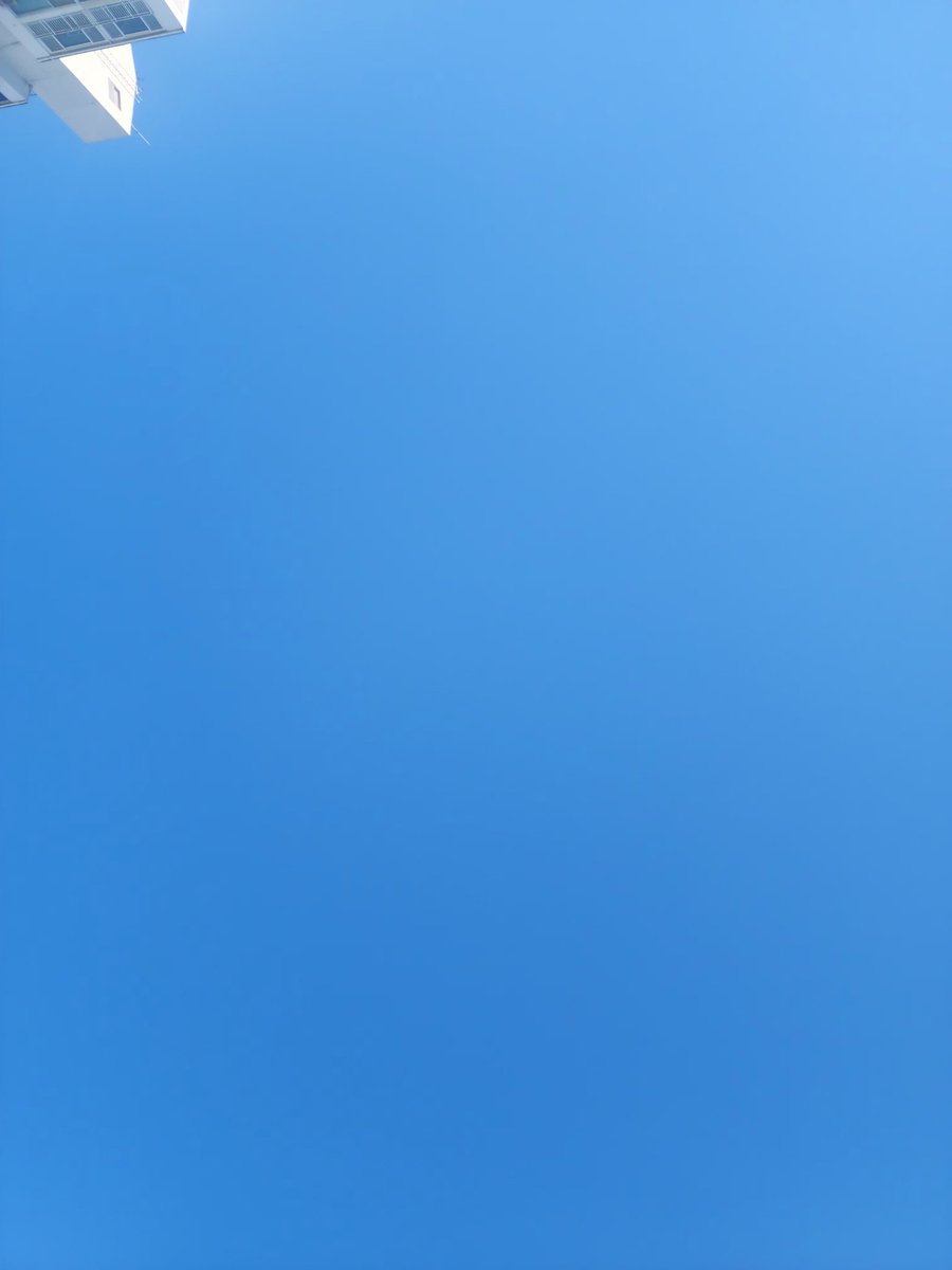 yameworld tweet picture