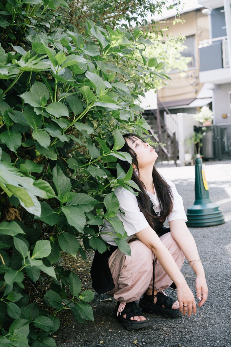 藍色🦋🐶 tweet media