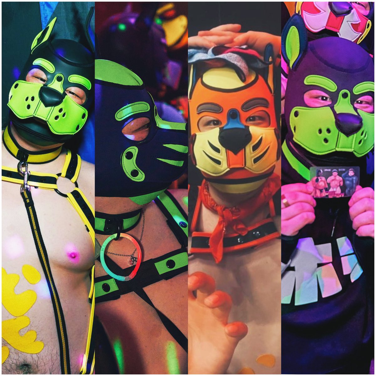 A Japanese who enjoys puppy life. 
Nice to meet you, my name is hukuro.