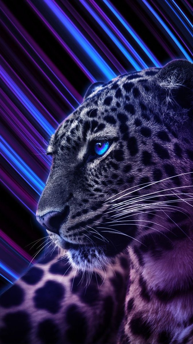 Queen_primis's tweet image. WALLPAPER CHALLENGE ?👇🥰❤️

LET’S HAVE IT 🔥🔥🔥