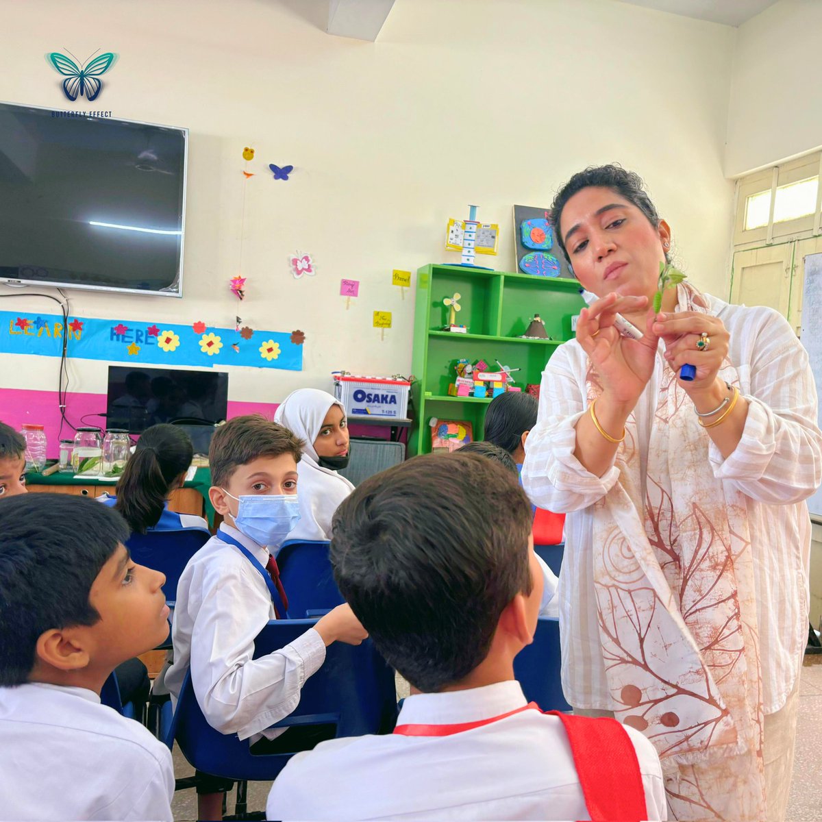 b_e_universe's tweet photo. Our Chief Program Manager led a session with #ButterflyEffect Club at IMSG Islamabad, teaching students to Rescue, Raise, and Release butterflies. They explored tools &amp; techniques for conservation, igniting excitement for hands-on learning! #ERA #Butterfly #SaveTheButterflies https://t.co/XI5U1jos4E