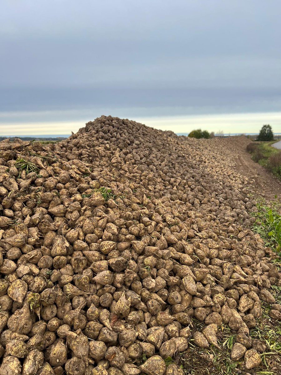 Minna-Mari Purtsi-Toimi ~ Minnis tweet media