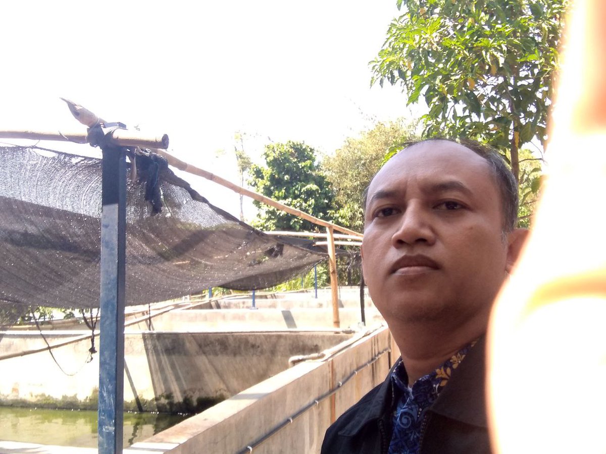 AsthokJ's tweet photo. Rabu,14/8/2024,pokdakan Mina Moncer Ds.Gulang Kec.mejobo Produksi per bulan 300 Kg,Harga jual Rp. 20.000/Kg
@bppsdm_kp @bppsdm_puslatkp @PKBLU_bp3tegal https://t.co/qQnnxlTQXM