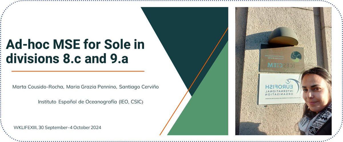📢This week the @ICES_ASC  #WKLIFEXIII2024 is taking place in @ICES_ASC  HQ, Copenhagen, Denmark 🇩🇰!

👩‍💻Our #MERVEX partner <a href="/CousidoMarta/">Marta Cousido</a> is there representing us!

➡️She presented a proposal on a specific MSE for sole 🐟 and had a lot of feedback on it, i.e. a lot of interest!