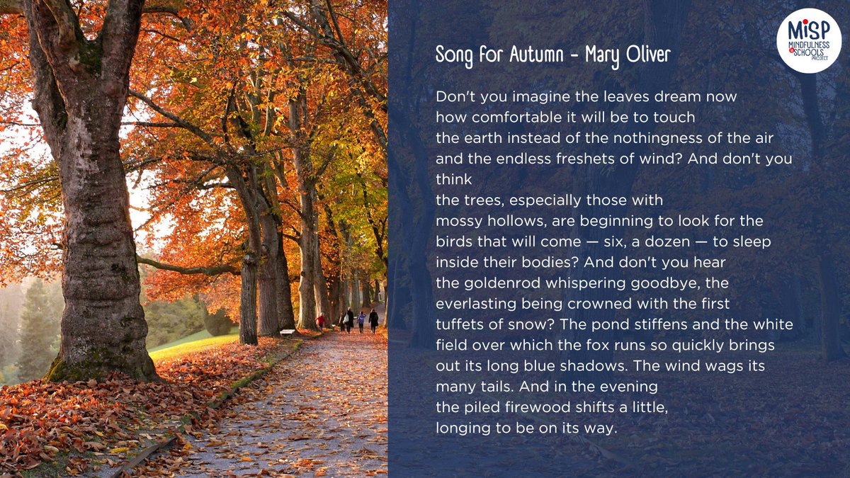 This week's #WednesdayWords come to you from Mary Oliver.