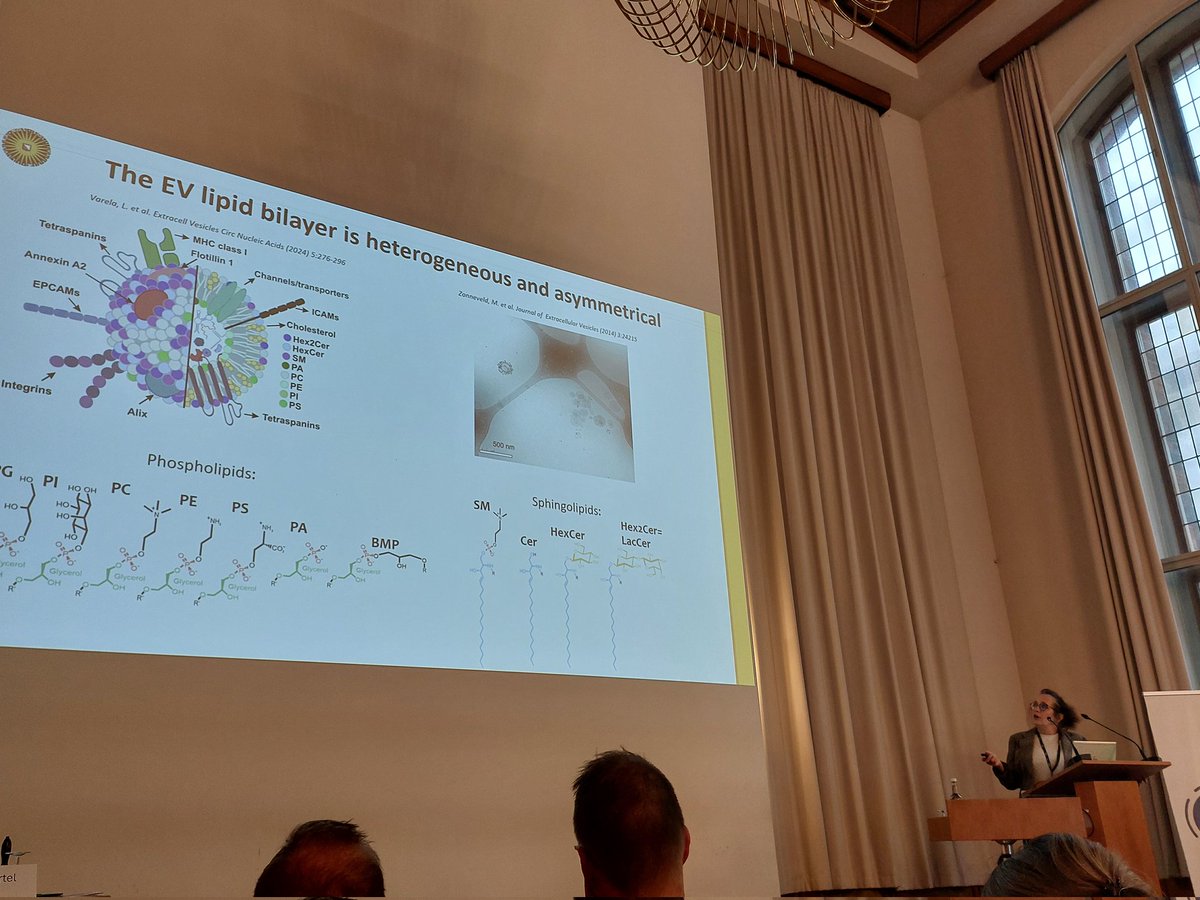 María Gómez Serrano (@mery_pipis) on Twitter photo Starting our second (and last 🥲) day for <a href="/GSEVorg/">German Society for Extracellular Vesicles</a> with an inspiring talk about the lipid components of #EVs by Marca Wauben 😃
#Lipidomics #ExoFun Starting our second (and last 🥲) day for <a href="/GSEVorg/">German Society for Extracellular Vesicles</a> with an inspiring talk about the lipid components of #EVs by Marca Wauben 😃
#Lipidomics #ExoFun
