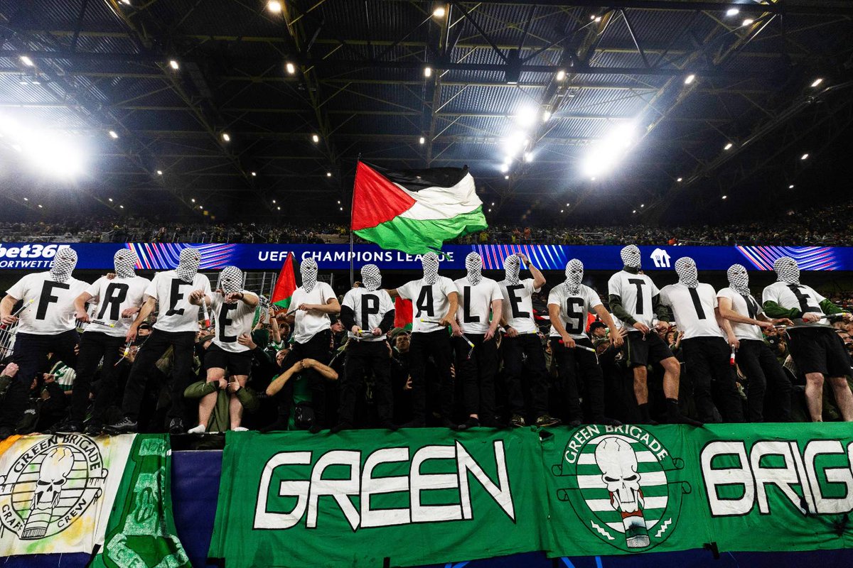 Lajee Celtic tweet media