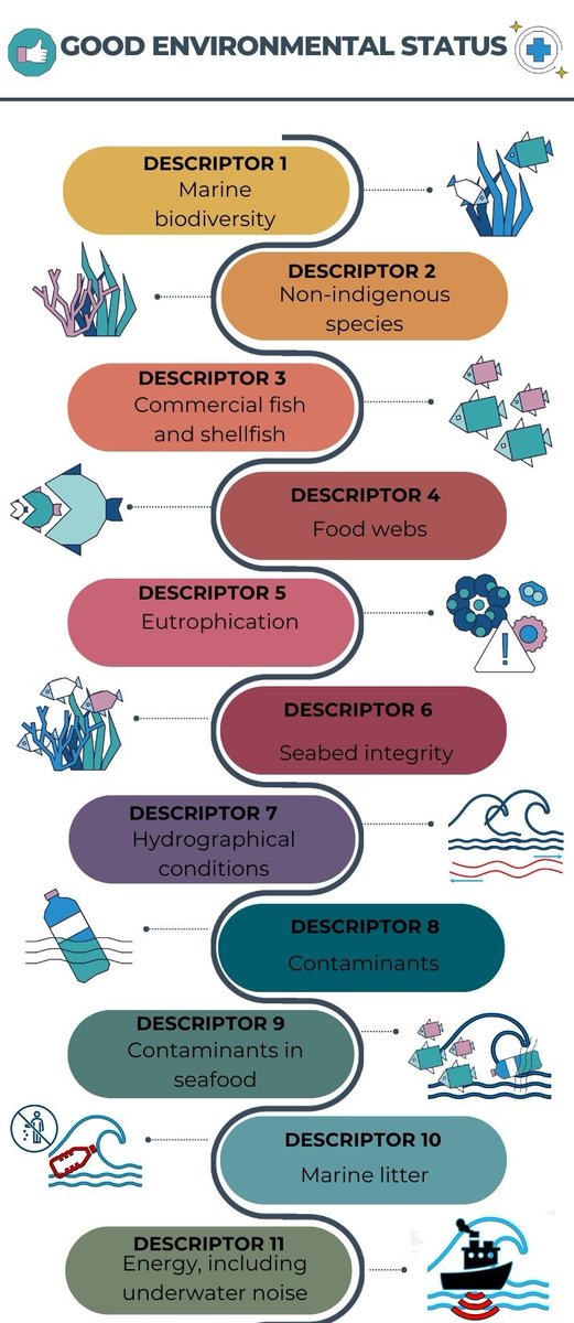 🌊#GoodEnvironmentalStatus is defined by #MSFD through 11 Descriptors. Let’s understand #GES through its 11 pillars! They are all about protecting our seas! 
More at: environment.ec.europa.eu/topics/marine-…