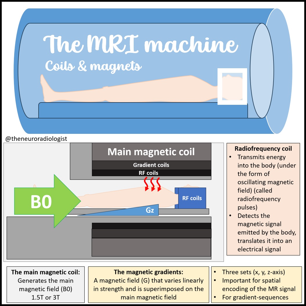 theneuroradguy's tweet photo. New video on basic function and physics of MRI: MRI physics made easy!. Video can be found here: 
https://t.co/m2W1Vws8Af

#neurorad #radiology #MRI #MEDed #FOAMed #RADed #FOAMrad #magnetic https://t.co/BHZ86RboRF
