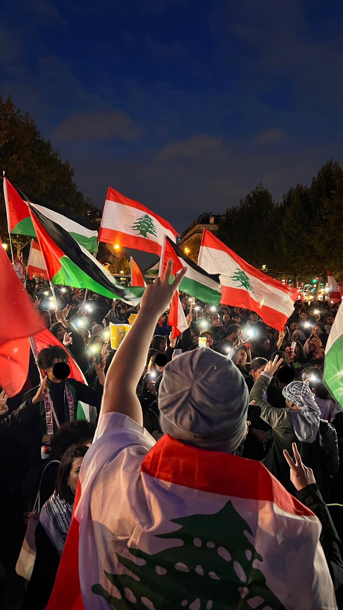 Villon_Rouge's tweet image. Paris supports Palestine