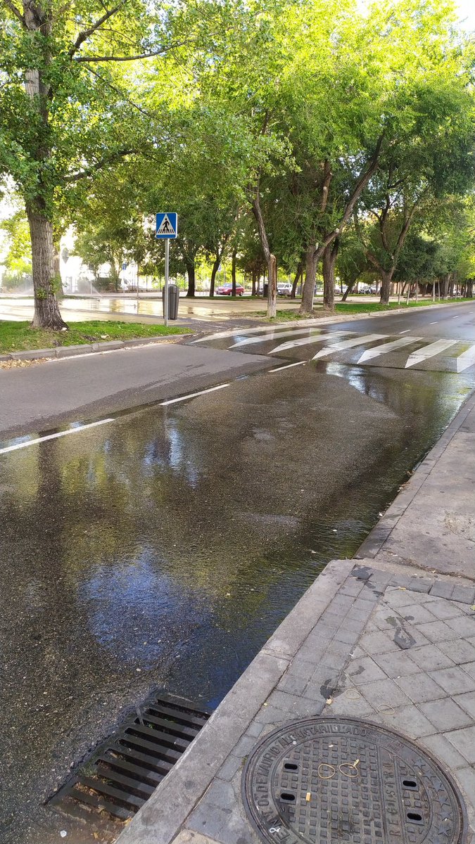 Está genial que los parques estén verdes y bien regalos, pero ¿qué sentido tiene que los aspersores apunten al asfalto? <a href="/MADRID/">Ayuntamiento Madrid</a>, estamos derrochando litros y litros de agua