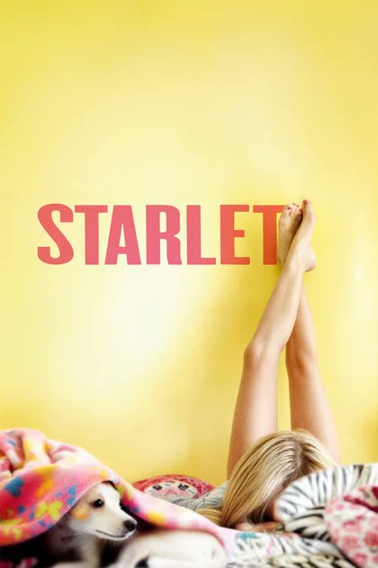 Jaume Ripoll Vaquer tweet media