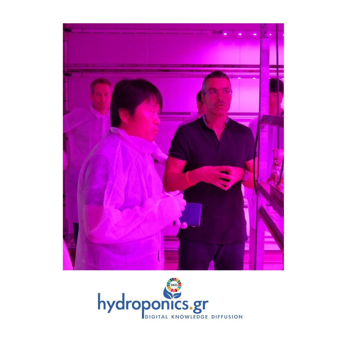 HydroponicsGr's tweet photo. By simulating ideal light  conditions, LED lighting supports better root development, stronger  stems, and overall plant health, contributing to more uniform and  vigorous growth during propagation. https://t.co/tD9NfQjVlx