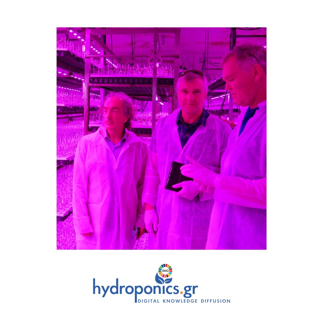 HydroponicsGr's tweet photo. By simulating ideal light  conditions, LED lighting supports better root development, stronger  stems, and overall plant health, contributing to more uniform and  vigorous growth during propagation. https://t.co/tD9NfQjVlx