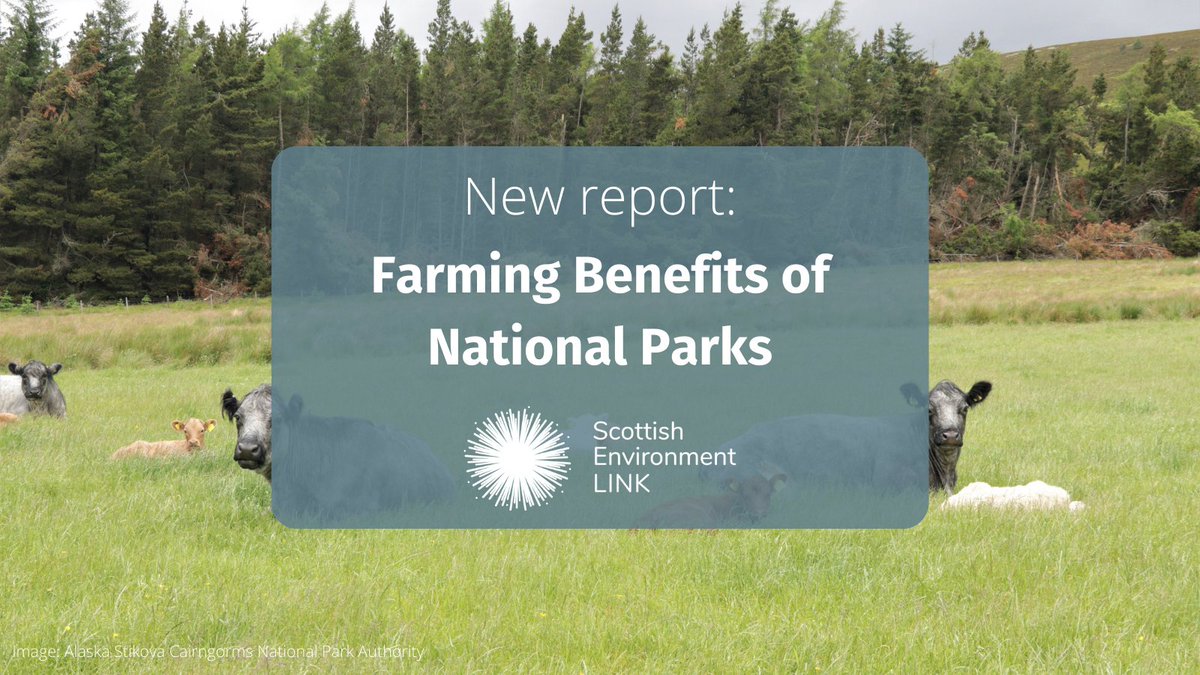 Scottish Environment LINK tweet media