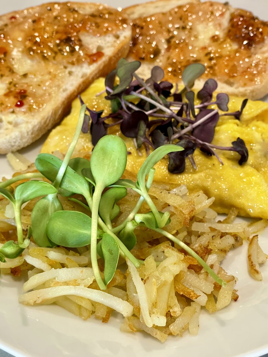 Shipshape Urban Farms tweet media