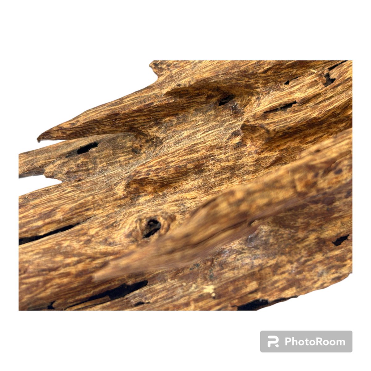 OUD_Valley_OUD's tweet photo. Wild OUD Agarwood Cambodia 
Location: Dubai https://t.co/x1BLwaryLd