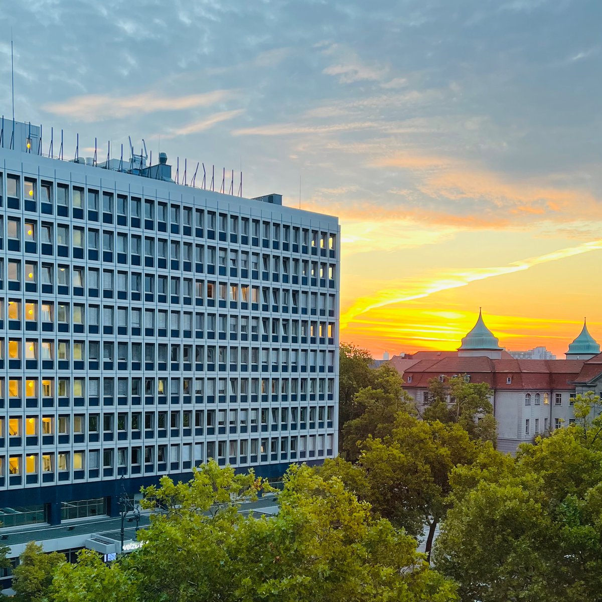 AlgoLabour | Kanikka Sersia tweet media